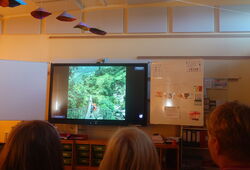 Menschen sitzen vor einer großen Leinwand in einem Klassenraum, auf der ein Bild einer Person auf einer Hängebrücke im Wald gezeigt wird