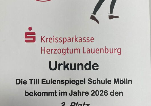 Urkunde der Kreissparkasse Herzogtum Lauenburg für die Till Eulenspiegel Schule Mölln zum 3. Platz beim Citylauf 2026 mit 16 Finishern in der Schulwertung, mit Vereinslogo und Narrenkostüm-Illustration
