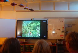 Menschen sitzen vor einer großen Leinwand in einem Klassenraum, auf der ein Bild einer Person auf einer Hängebrücke im Wald gezeigt wird