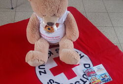 Großer Teddybär mit T-Shirt sitzt auf roter Decke mit weißem Kreis und rotem Kreuz sowie der Aufschrift Deutsches Rotes Kreuz