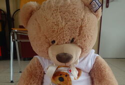 Großer brauner Teddybär mit weißem T-Shirt und Aufdruck sitzt auf einem rot-weißen Deckenboden mit rotem Kreuz und schwarzer Schrift