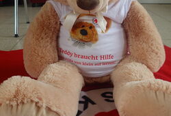 Großer brauner Teddybär mit weißem T-Shirt und Aufdruck sitzt auf einem rot-weißen Deckenboden mit rotem Kreuz und schwarzer Schrift